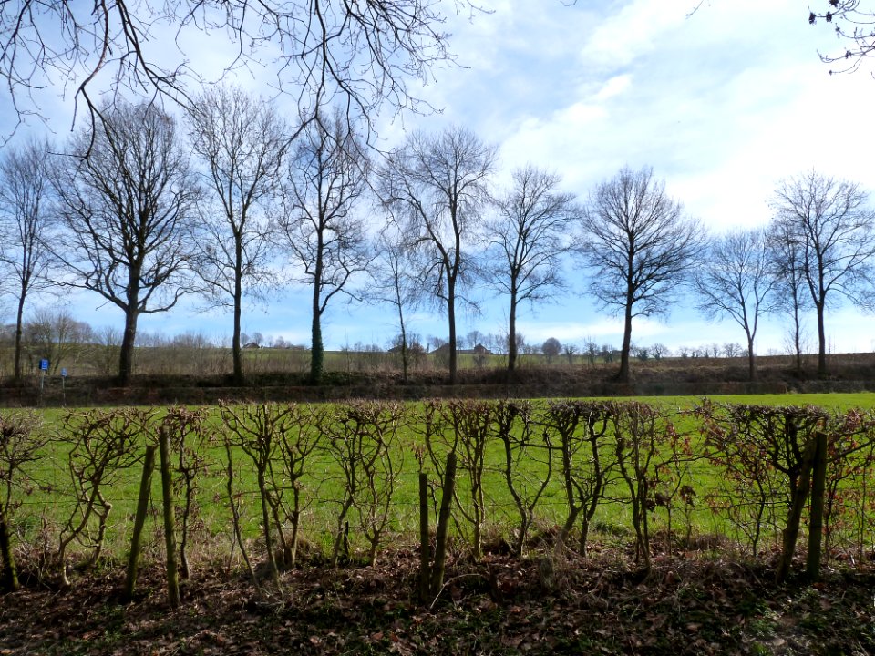 Gulpen-Roman site (5)