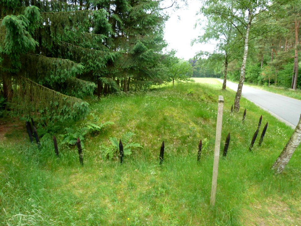 Hamont-Achel-Grafheuvels Grote Haart (3)