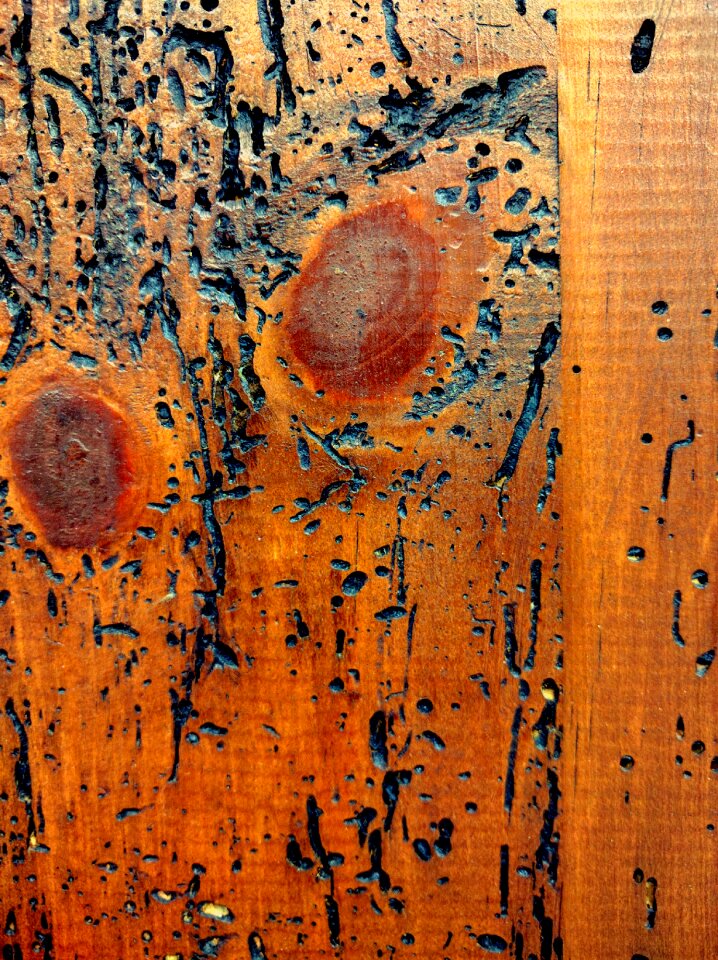 Texture woodworms old