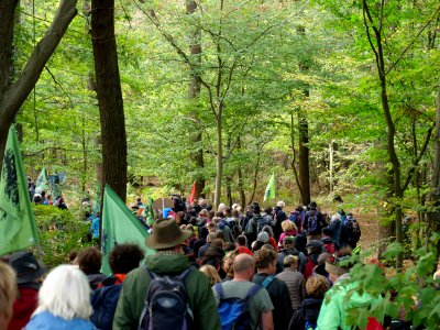 Hambacher Forst forest walk 07-10-2018 12