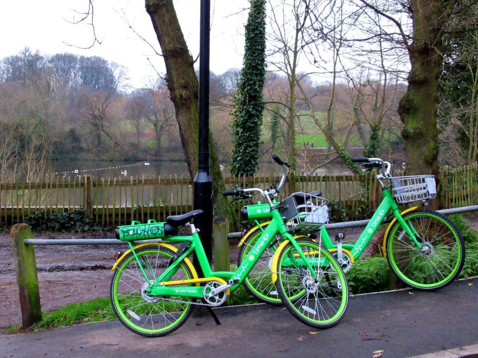 Hampstead Heath from Millfield Lane