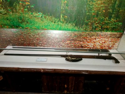 Gun, Yueyang Museum