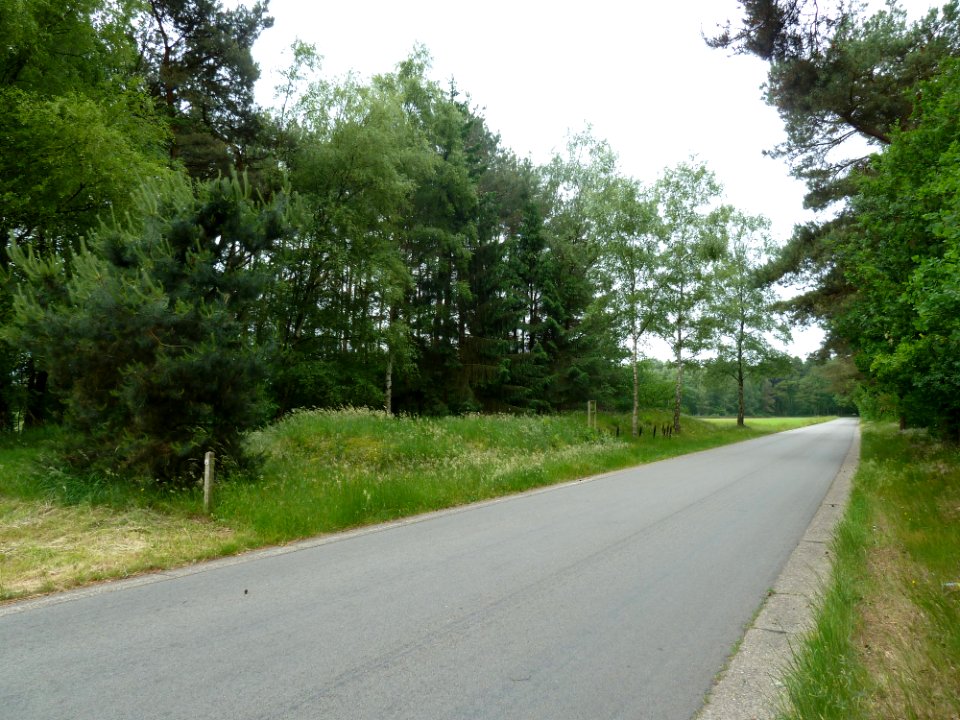 Hamont-Achel-Grafheuvels Grote Haart (1)