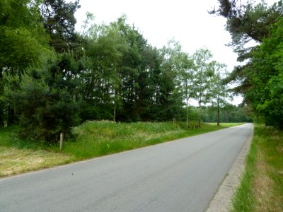 Hamont-Achel-Grafheuvels Grote Haart (1)