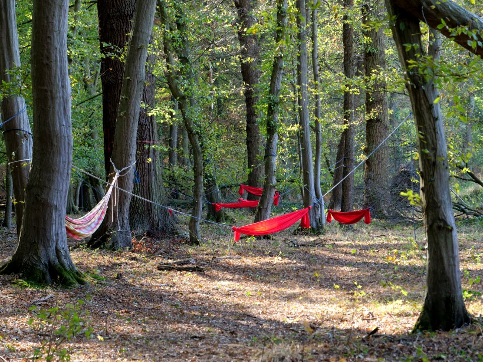 Hammock after protest in the Hambach forest 03
