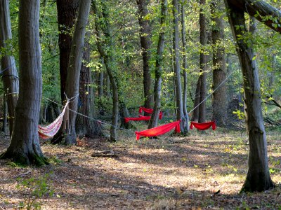 Hammock after protest in the Hambach forest 03