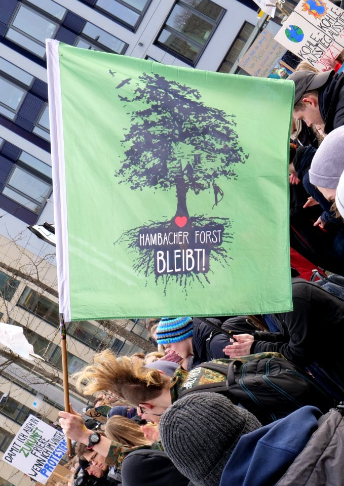 Hambacher Forst bleibt! Fahne (cropped)