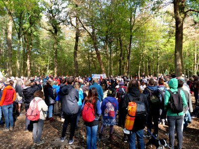 Hambacher Forst forest walk 07-10-2018 17