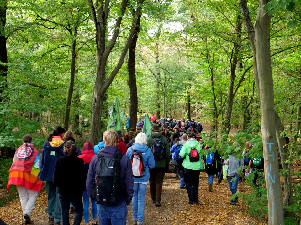 Hambacher Forst forest walk 07-10-2018 13
