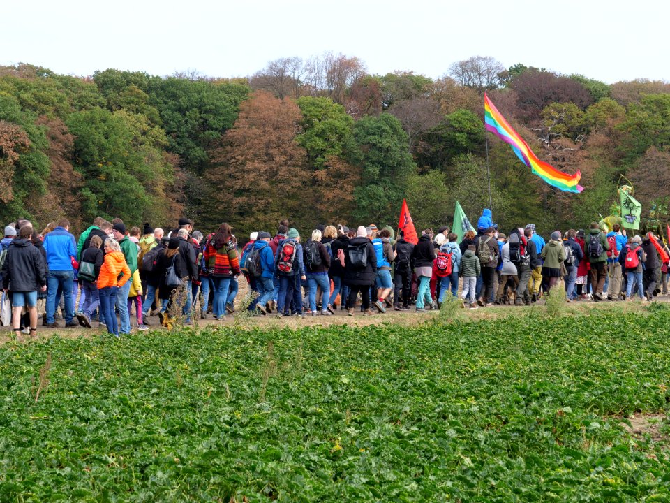 Hambacher Forst forest walk 07-10-2018 06