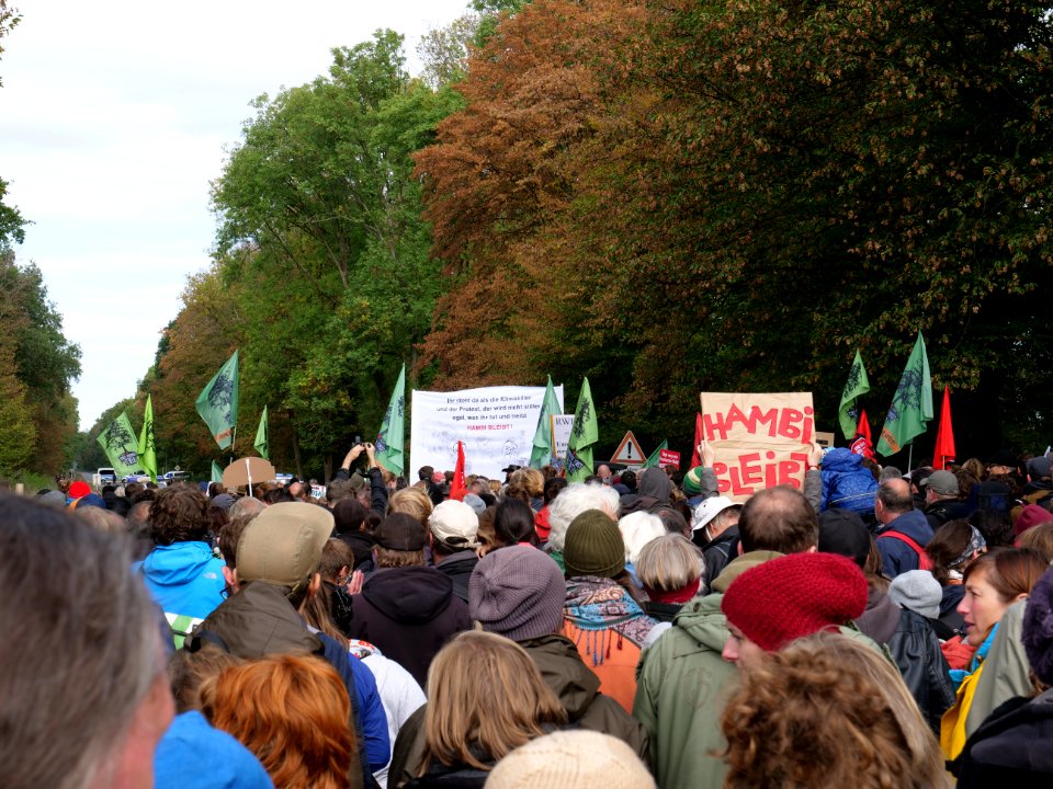 Hambacher Forst forest walk 07-10-2018 08