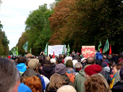 Hambacher Forst forest walk 07-10-2018 08