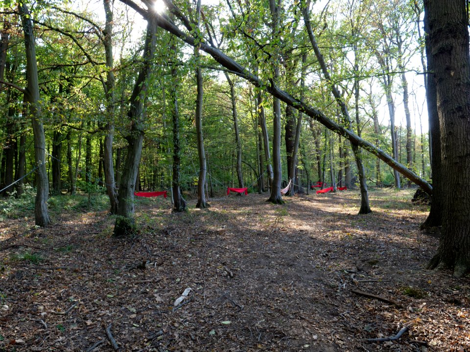 Hammock after protest in the Hambach forest 02