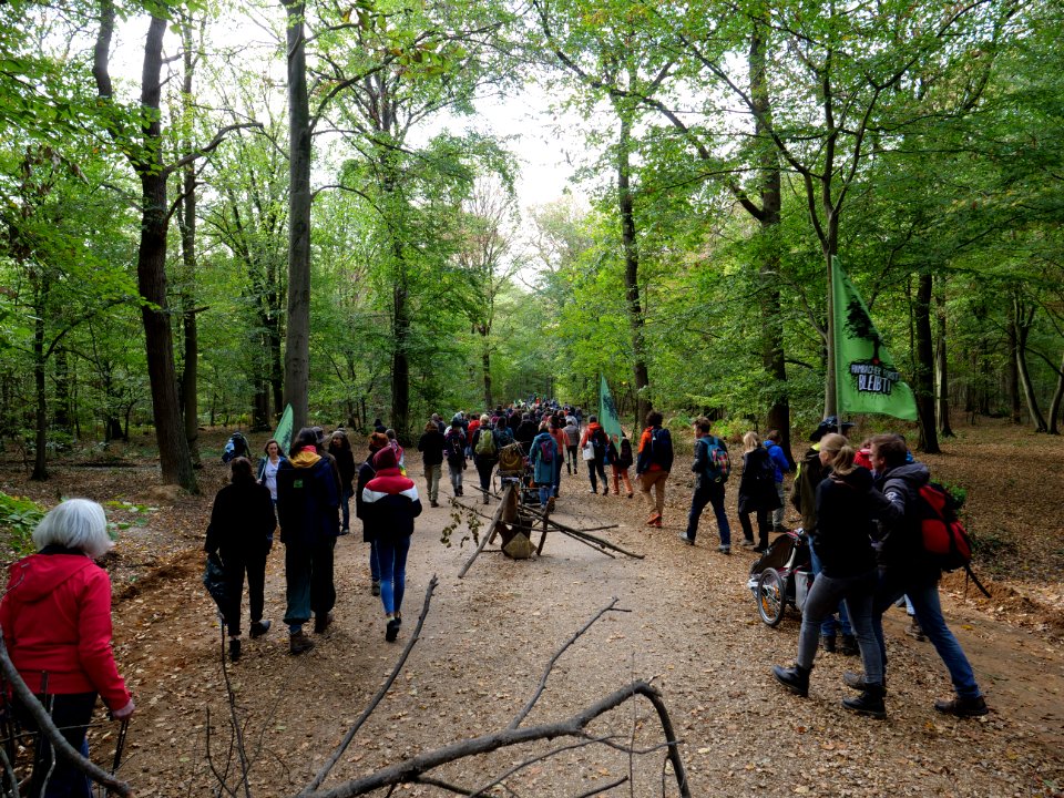 Hambacher Forst forest walk 07-10-2018 14