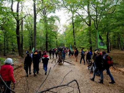 Hambacher Forst forest walk 07-10-2018 14