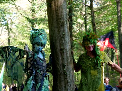 Hambacher Forst forest walk 07-10-2018 23