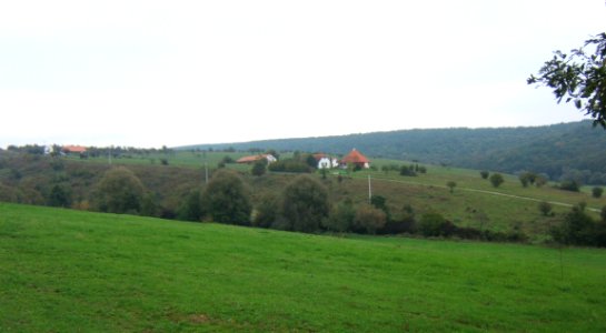 Gyűrűfű látképe