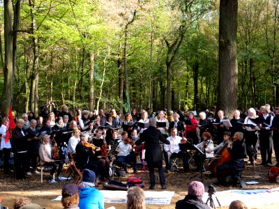 Hambacher Forst forest walk 07-10-2018 20