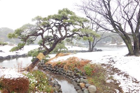 Hama-rikyū Garden in winter - Tokyo, Japan - DSC09585