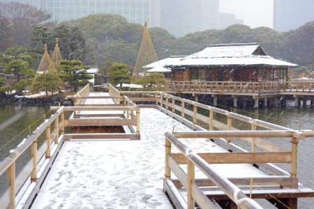 Hama-rikyū Garden in winter - Tokyo, Japan - DSC09596