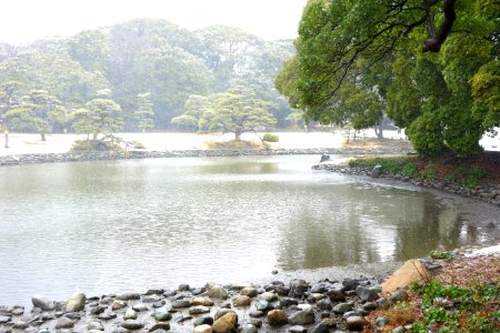 Hama-rikyū Garden in winter - Tokyo, Japan - DSC09572