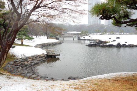 Hama-rikyū Garden in winter - Tokyo, Japan - DSC09578