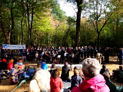 Hambacher Forst forest walk 07-10-2018 19