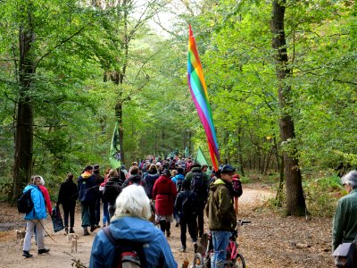 Hambacher Forst forest walk 07-10-2018 15