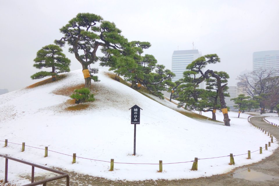 Hama-rikyū Garden in winter - Tokyo, Japan - DSC09554