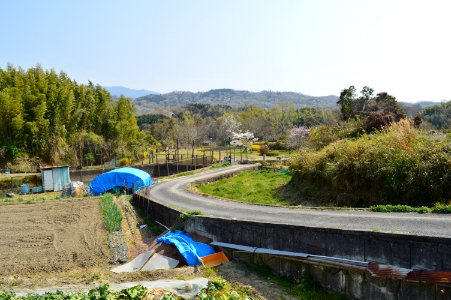 Hamuro Kofun Group, gaikan