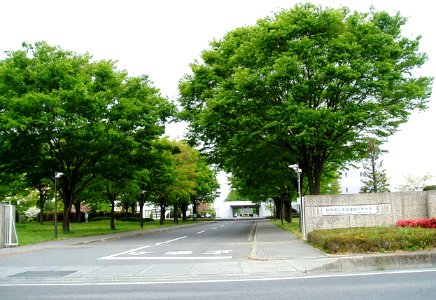Gunma-Pref-College-of-Health-Sciences01