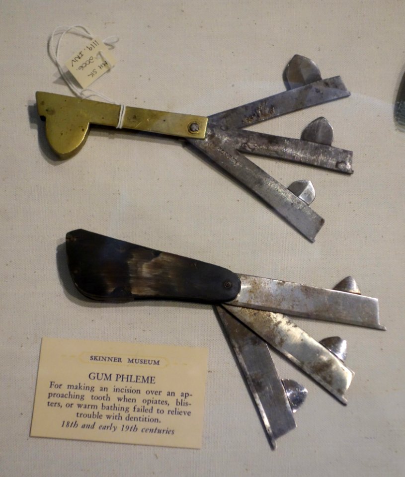 Gum phleme for making an incision over an approaching tooth, 1700s to early 1800s - Joseph Allen Skinner Museum - DSC07857