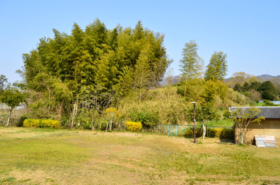 Hamurozuka Kofun, zenkei