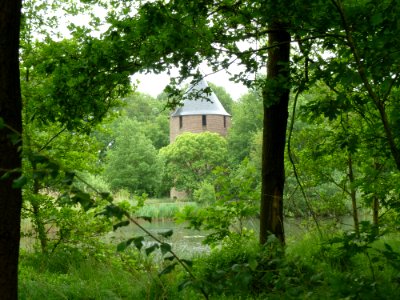 Hamont-Achel-De Tomp (5)