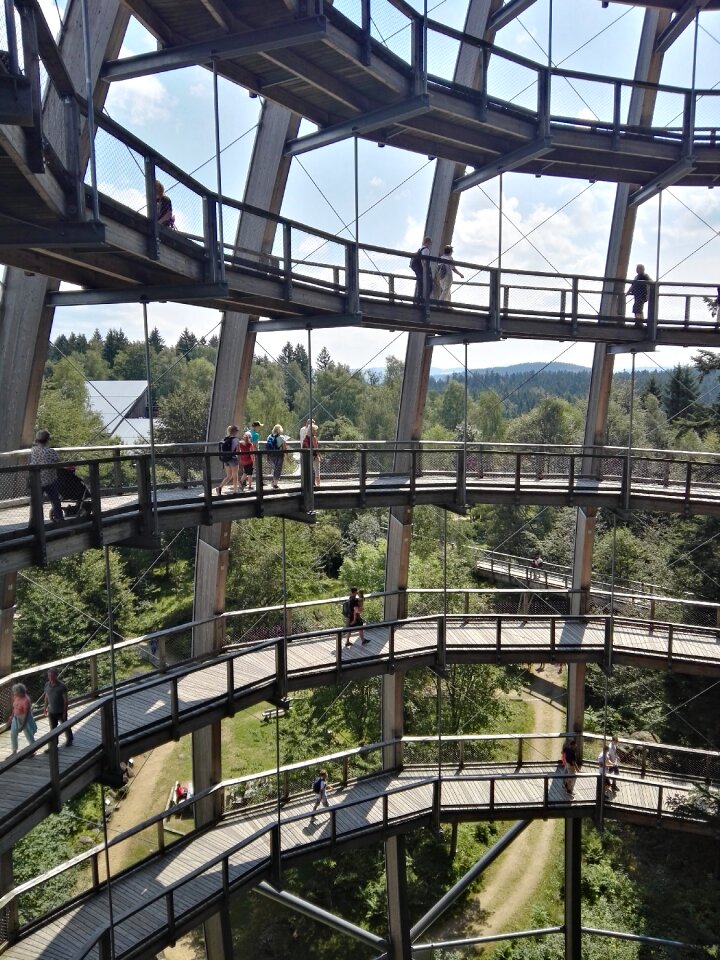 Waldwipfelpfad architecture bavarian forest