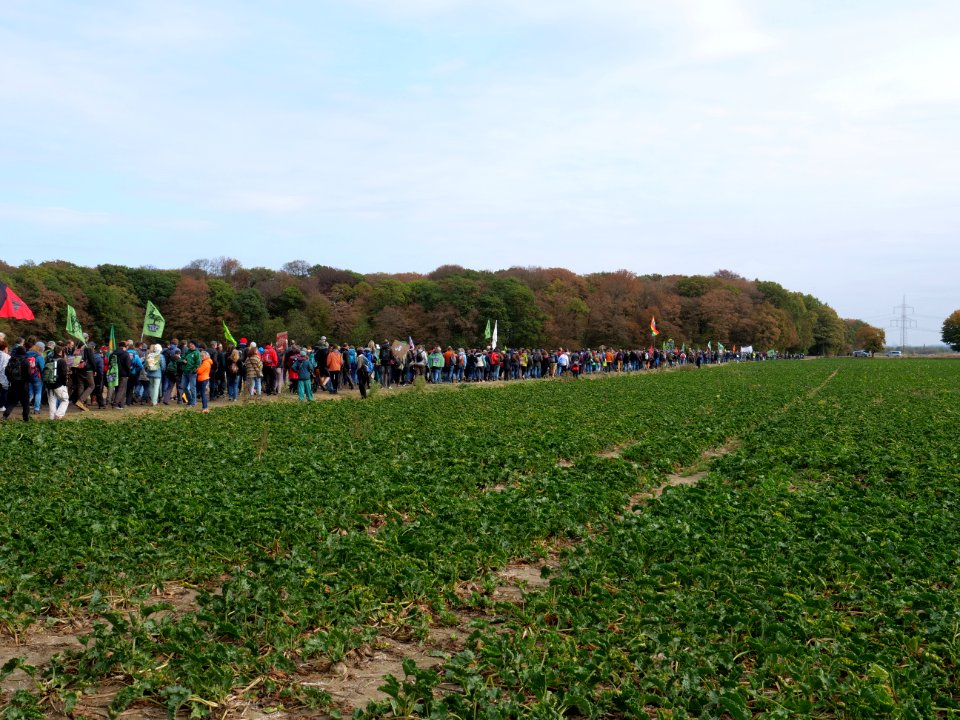 Hambacher Forst forest walk 07-10-2018 07