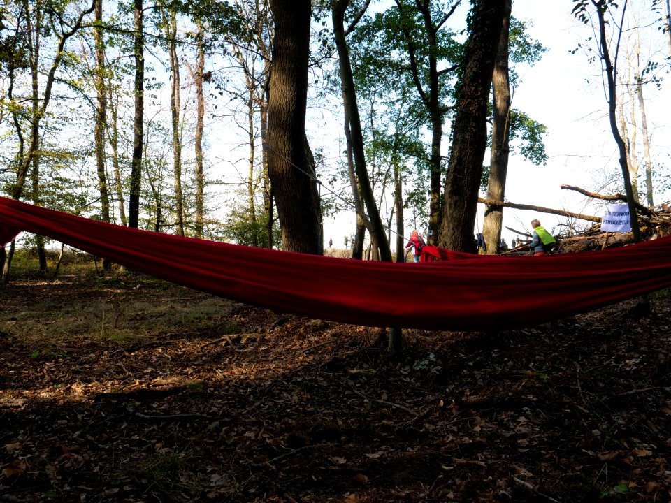 Hammock after protest in the Hambach forest 01