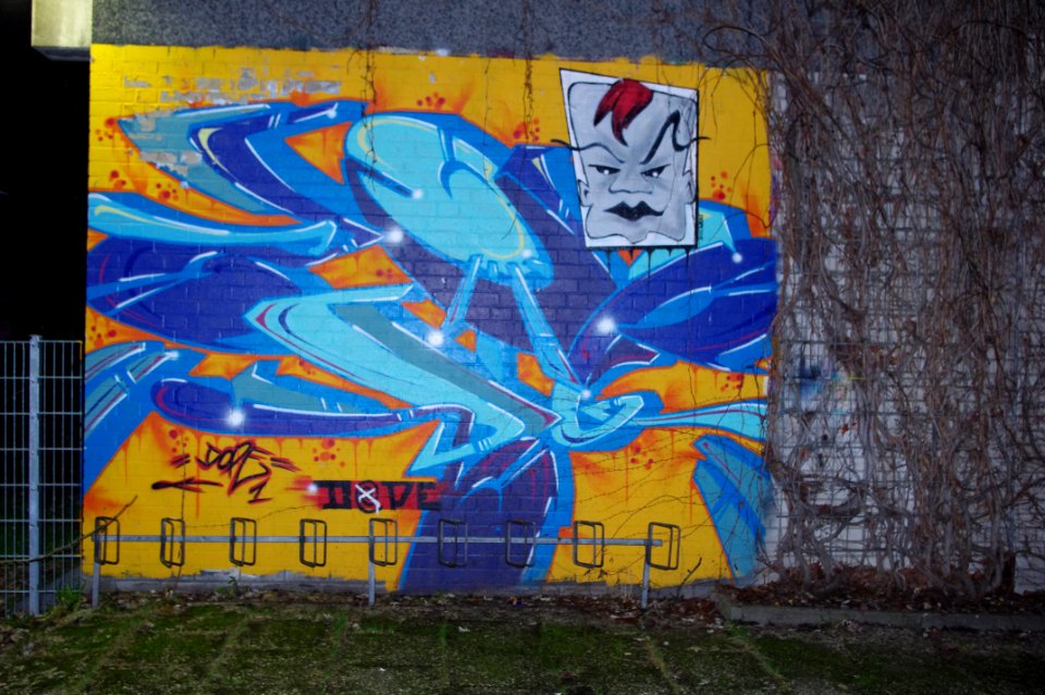 Hamm 18.01.2011 23-17-37