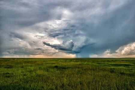 Storm steppe grass