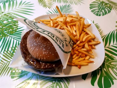 Hamburger and fries photo