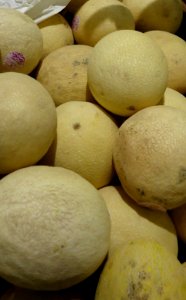 Hami melon