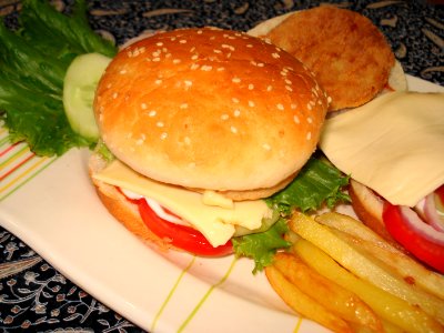 Hamburger 3 photo