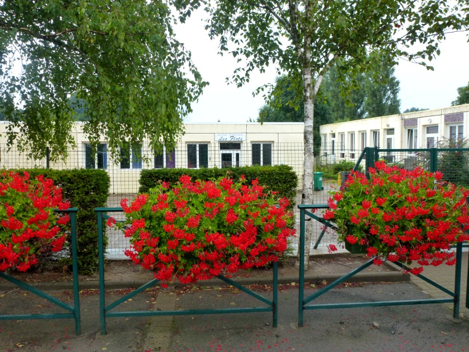 Hames-Boucres (Pas-de-Calais) école