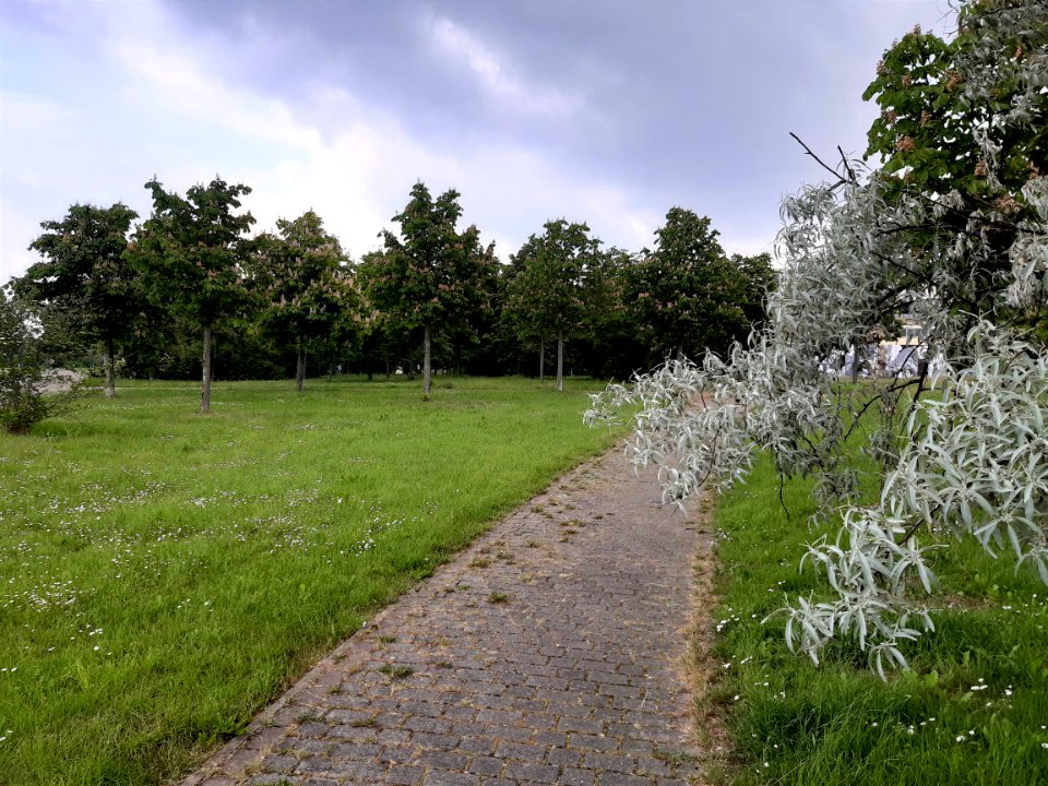 HAL-Silberhöhe Stadtteilpark