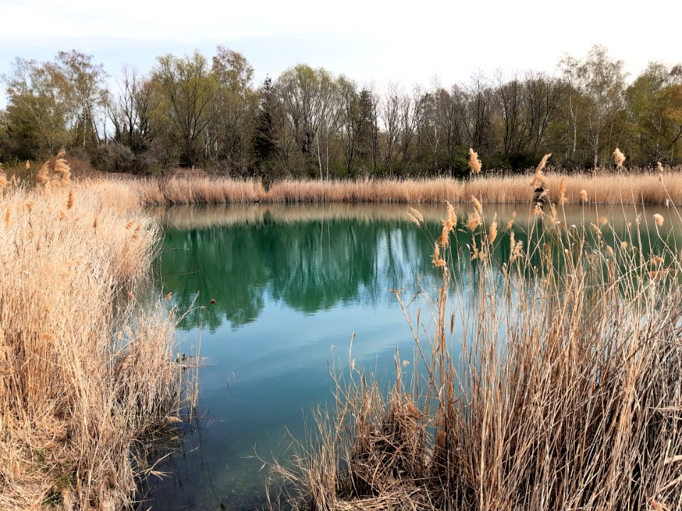 HAL-Seeben TrothaerTeich2