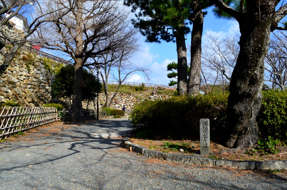 Hamamatsu Castle, honmaru