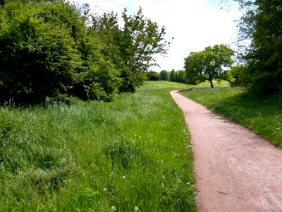 HAL-Südpark2