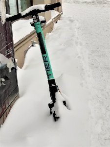 HAL-Steinweg Scooter