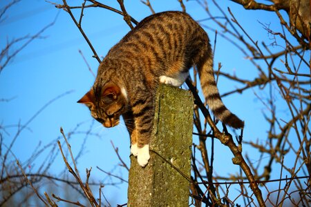 Mieze post climb