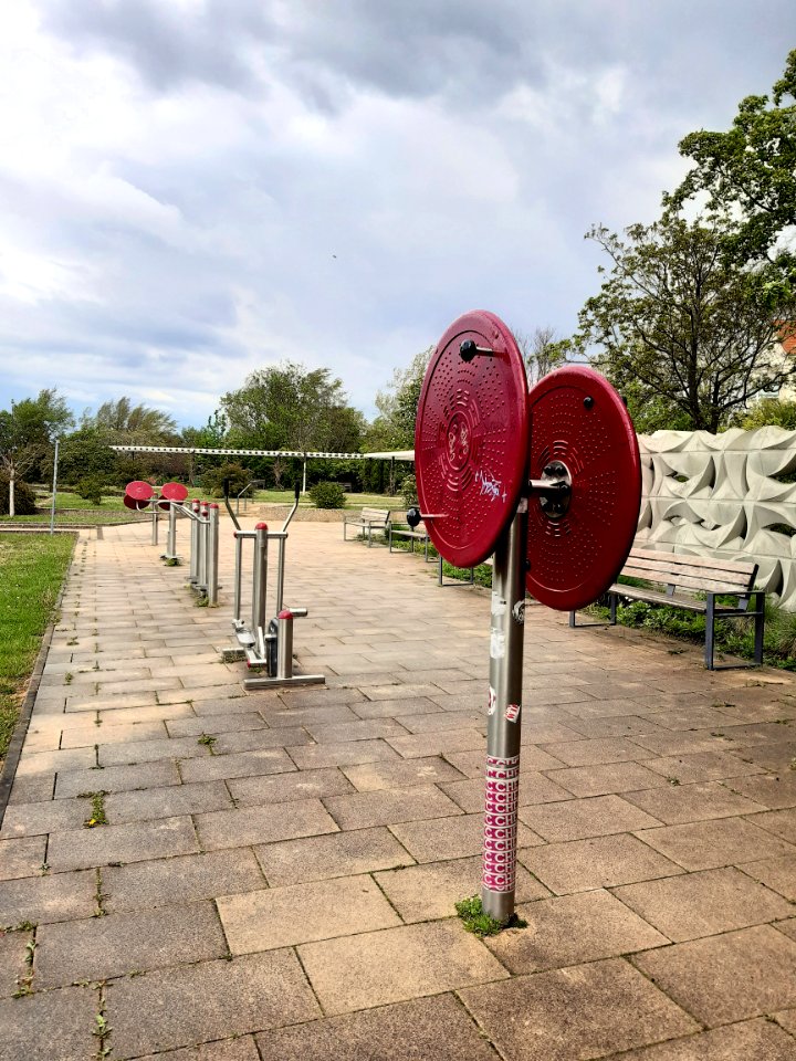 HAL-Südstadtpark-Fittnessparcours